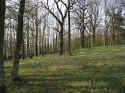 Limbach Friedhof 209.jpg (146616 Byte)
