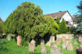Otterstadt Friedhof 174.jpg (102503 Byte)