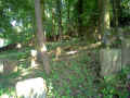 Wertheim Friedhof 130601.jpg (257237 Byte)