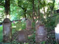 Wertheim Friedhof 130609.jpg (259975 Byte)