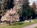 Esslingen Friedhofneu01.jpg (169105 Byte)